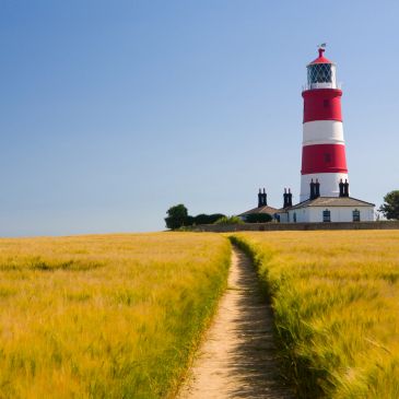 Path leading to a red and white striped lighthouse in a field.
