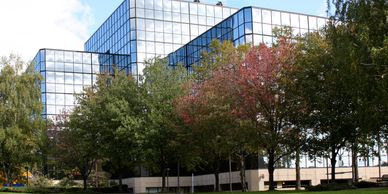 commercial tree service