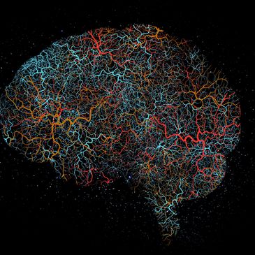 Research on mindfulness, stress relief, brain health, emotional balance. Christopher Zoboroski