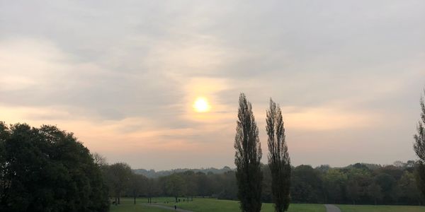 Sun setting over a park with trees and pathways.
