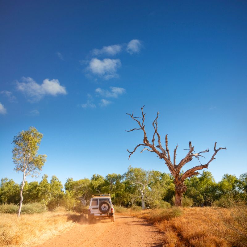 A dusty 4X4 disappears up a dirt road in the Kimberley region of outback Western Australia.  More Australia