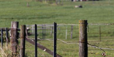 A rustic barbed wire fence in a green field.