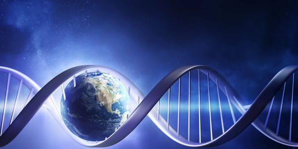 DNA