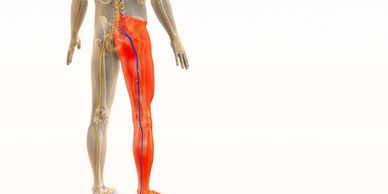 Dr. Alexander I. Jimenez, D.C., providing chiropractic care for car accident patients at Synergy Hea