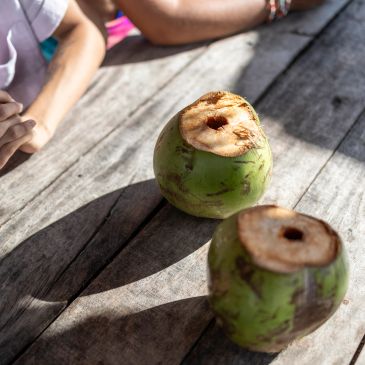Fresh green coconuts on a rustic wooden table with hands nearby.