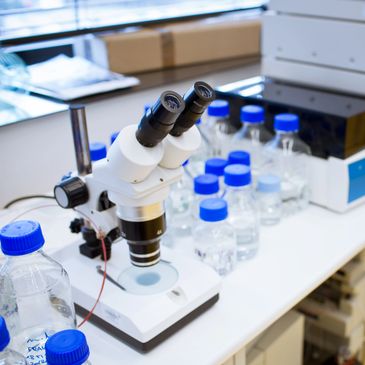 Microscope surrounded by clear bottles with blue caps on a lab bench.