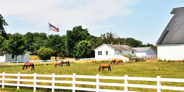 Horse Fencing
