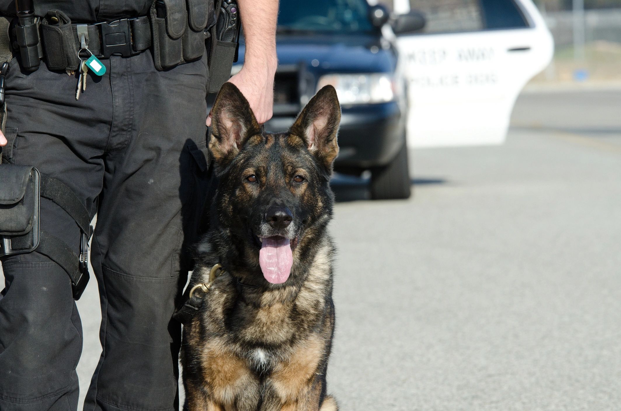 K9 officer looking at camera next to handler