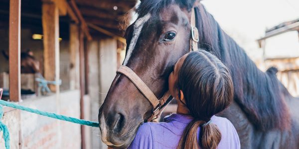 A girl affectionately hugs a dark brown horse in a stable.