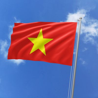 Vietnam's red flag with a yellow star waving against a blue sky.