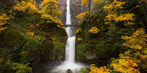 Waterfall in Oregon surrounded by forest.