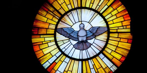 Stained glass window featuring a dove with outstretched wings.