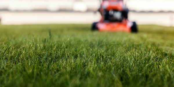Close-up of green grass with a blurred lawn mower in the background.