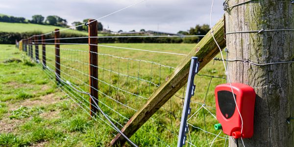 No climb and barbed wire livestock fencing