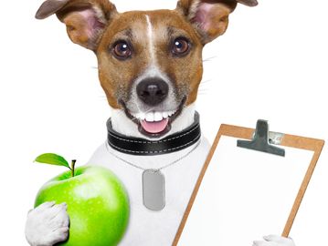 Dog school daycare boarding kennel apple clipboard