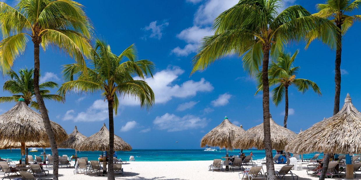 Sunny tropical beach with palm trees and thatched umbrellas.