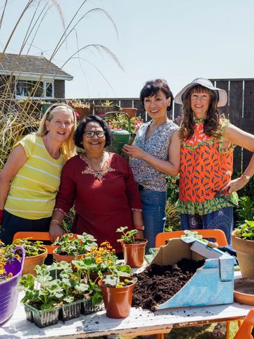 Four women gardening together outdoors with plants and soil on a sunny day.