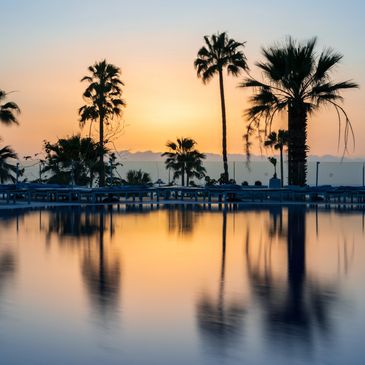 Palm trees reflected in a calm pool at sunset.