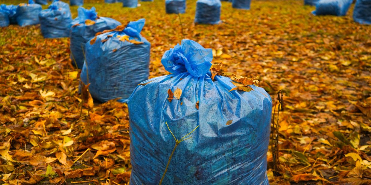 Fall leaf cleanup and removal - Sunny Days Lawn Care is here to help! No job is too big for us.