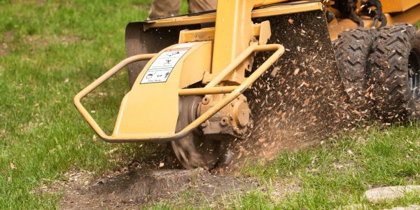A stump grinder clearing a tree stump in a grassy area.