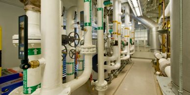 Industrial room with white pipes and valves along a corridor.