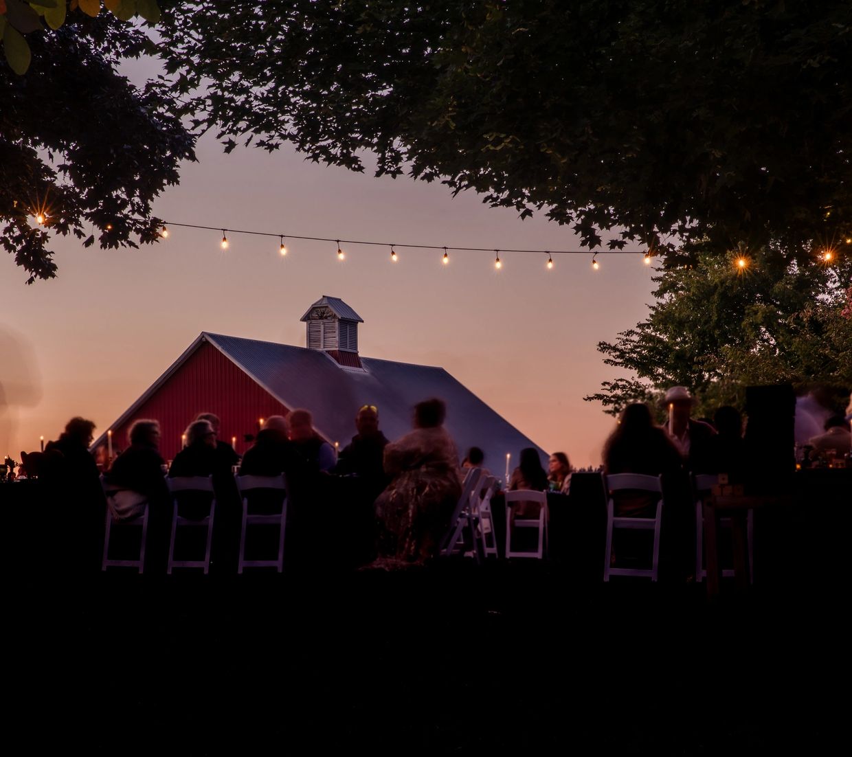 Photo booth rental services with pricing and contact details.