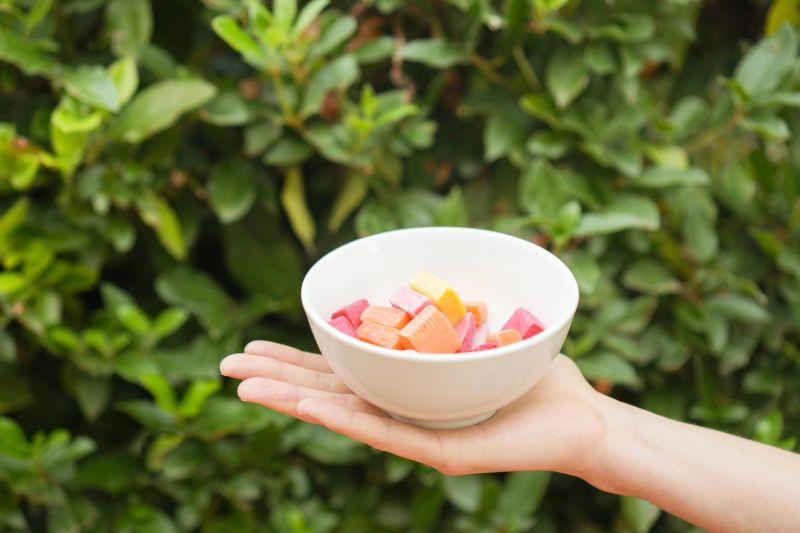 Isolated hand holding white bowl with colourful candies in green plant natural background with copy space on top