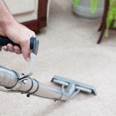 carpet steam cleaning near me
professional carpet cleaning services
carpet cleaning Melbourne