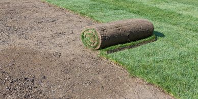 premium Kentucky Bluegrass sod ready for installation how to install sod rolls