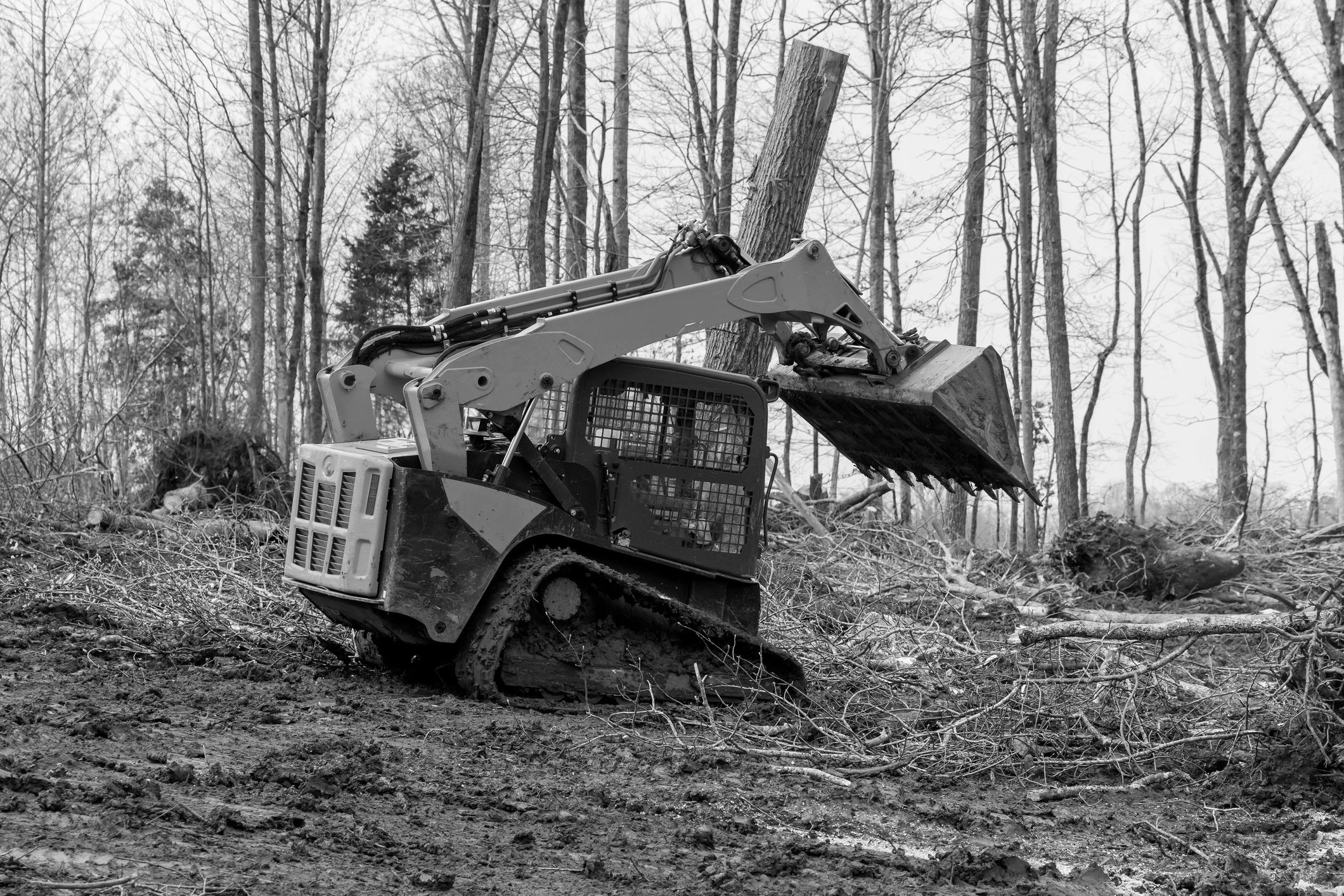 Orange excavator clearing trees in a muddy forest area.
