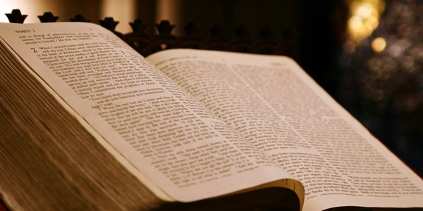 Open Bible with text under warm light.