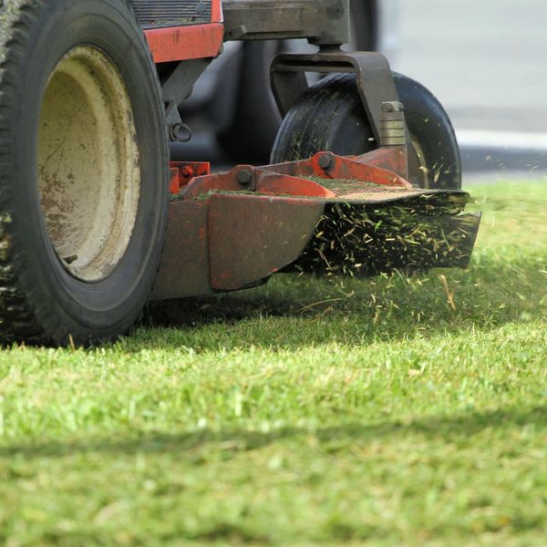 Close-up of a lawn mower cutting grass on a sunny day.