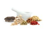 A variety of medicinal herbs with a white mortar and pestle.