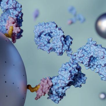 3D illustration of antibodies binding to antigens on a cell surface.