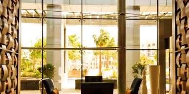 Elegant lobby seating area with large glass windows and palm trees outside.