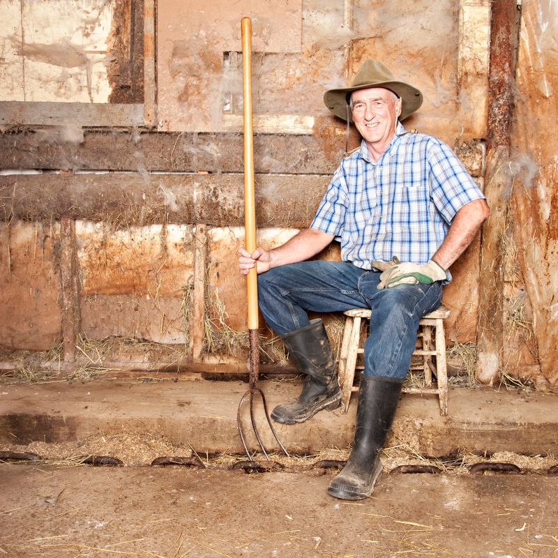 Senior farmer sitting in messy barn and holding a pitchfork.
