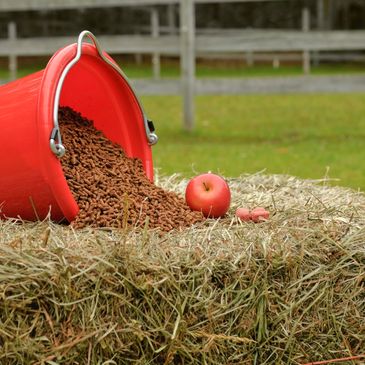 Horse feed and equine supplements all document on our App MyHorseDiary