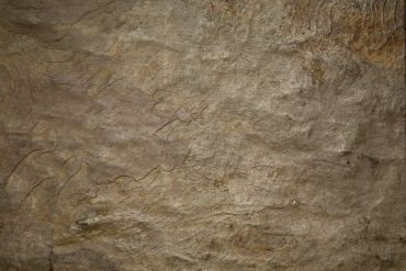 Black Pearl Granite Surfaces