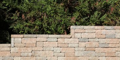 Expert sod, tree and plant installation for green landscapes