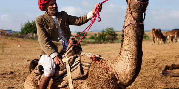 A man wearing a red turban rides a camel in an open field.