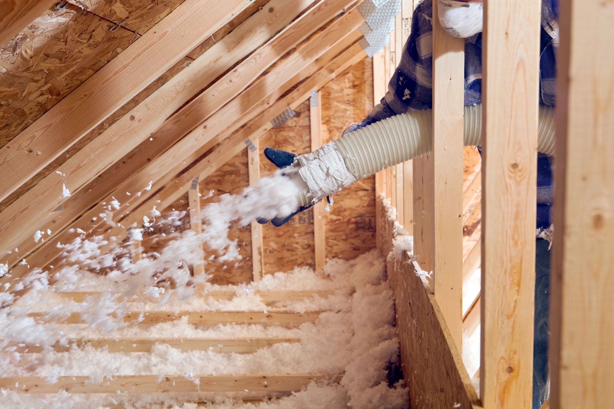 Conserv Pest Control technician sprays attic insulat with pest protection in a home