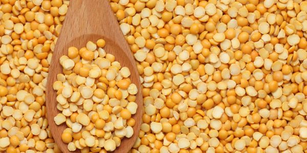 Yellow split peas in and around a wooden spoon.