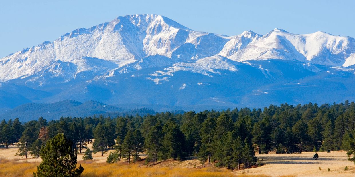 Snow-capped mountain with forest and grassy field.