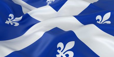 Blue and white flag with fleur-de-lis symbols.