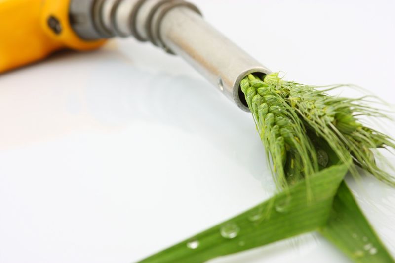 Leaves pouring out of a gas pump nozzle.