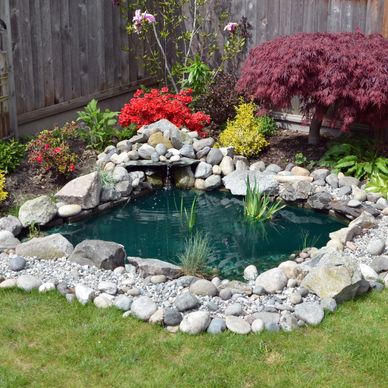 Small decorative garden pond with rocks and plants.