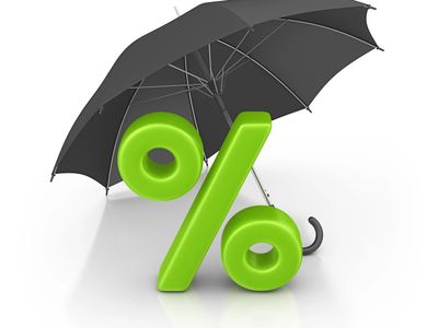 Happy drivers & pets