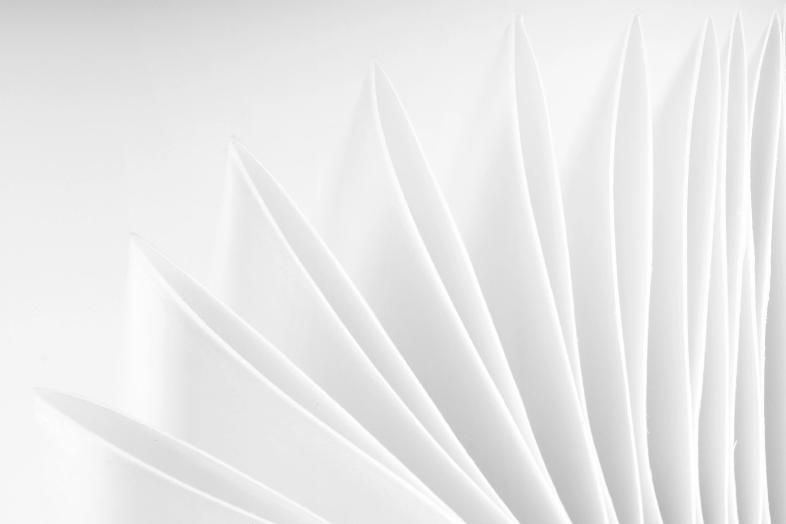 Fan-inspired backdrop symbolising layered structure, longevity, and refined aesthetic care. 