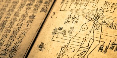Ancient Chinese medical manuscript with human anatomy.