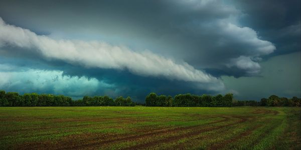 Dark storm clouds gather over a green field with distant trees.